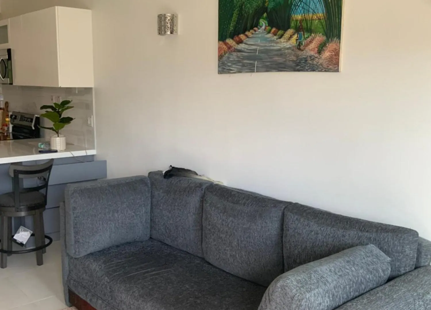 Impeccable 2-Bed Apartment In Kingston Jamaica